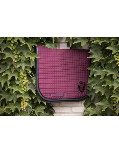 Tapis Paddock Américain dressage