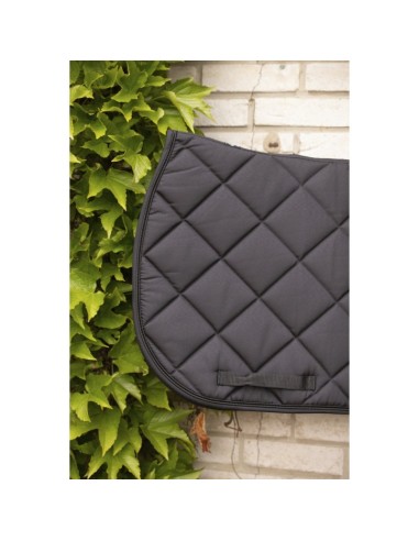 Tapis Paddock Prems