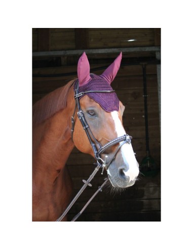 Bonnet Prems Paddock
