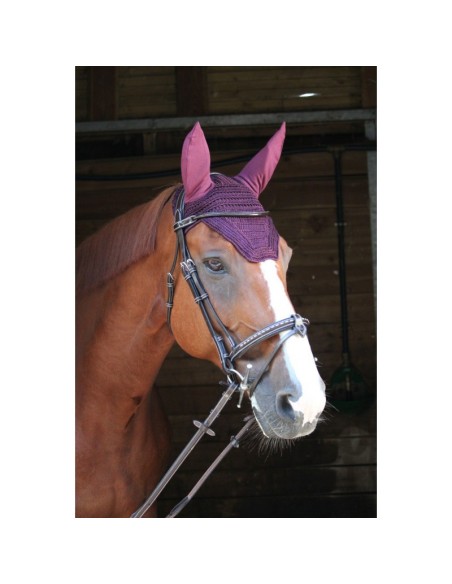 Bonnet Prems Paddock