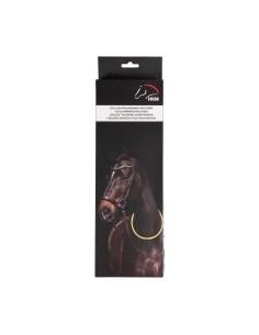 collier lumineux pour chevaux LED HKM 2