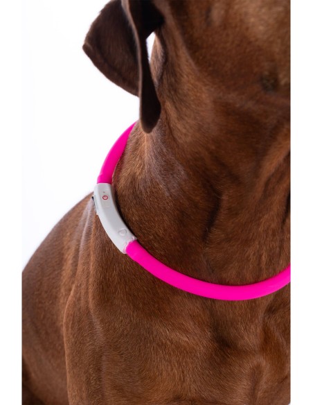 collier lumineux pour chien LED HKM