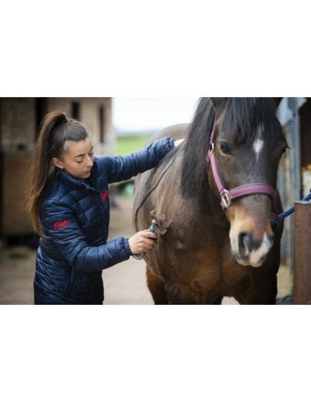 Tondeuse Lister Eclipse sans fil