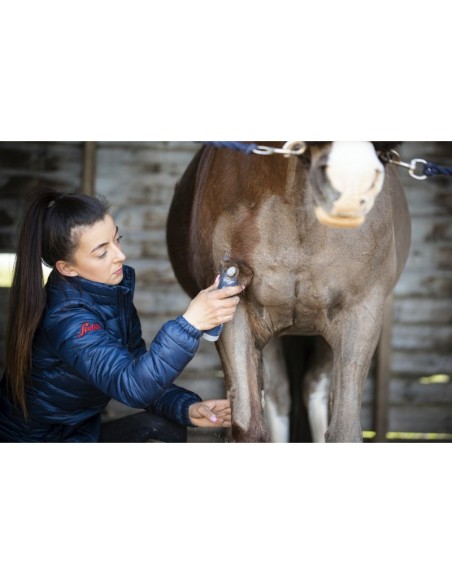 Tondeuse Lister Eclipse sans fil