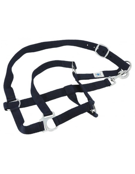 Set complet Riding World : licol, longe, bandes polo et chemise