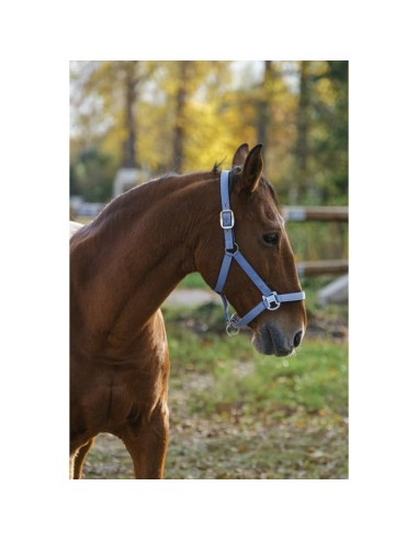 Licol nylon Equithème Spring
