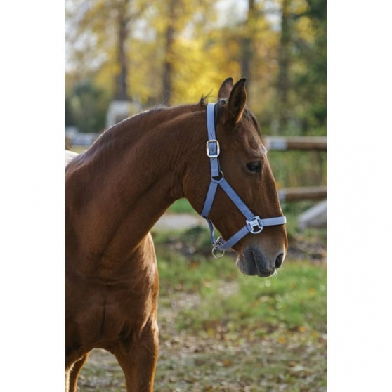 Licol nylon cheval Rosé - Waldhausen - WALDHAUSEN - Licols nylon Licol nylon cheval Rosé - Waldhausen - WALDHAUSEN - Licols nylon