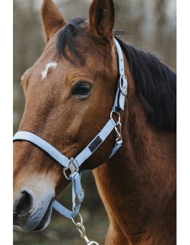 Licol nylon Equithème Spring