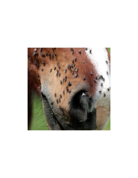 Répulsif Animaderm Derfly