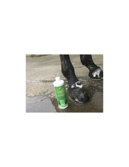 Shampoing Animaderm Tea Tree