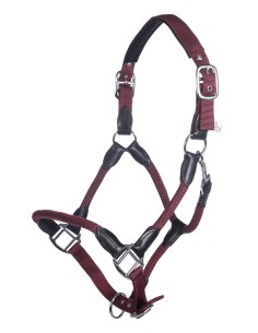 Licol Carlotta HKM 2