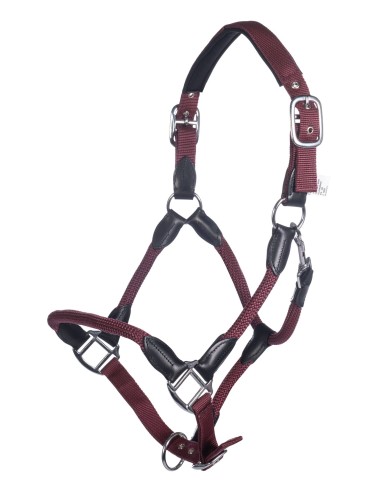 Licol Carlotta HKM