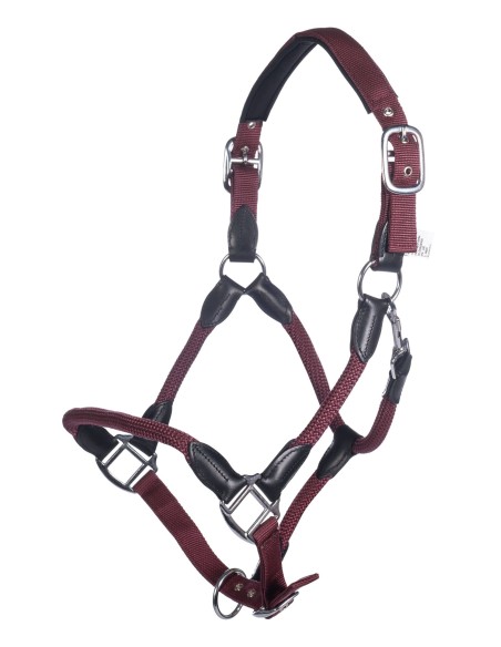 Licol Carlotta HKM