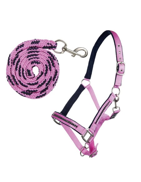 Set de Licol et Longe -Crystal-, rembourré