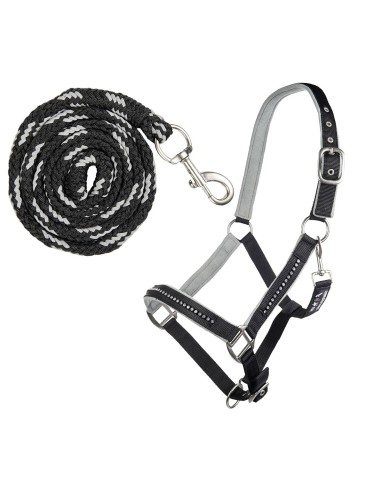 Set de Licol et Longe -Crystal-, rembourré