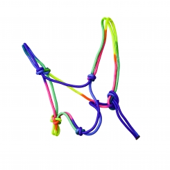 Licol éthologique rainbow EE