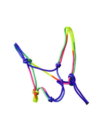 Licol éthologique rainbow EE