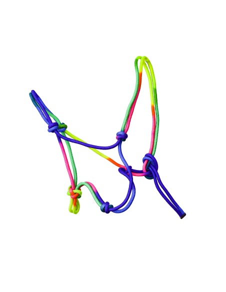 Licol éthologique rainbow EE