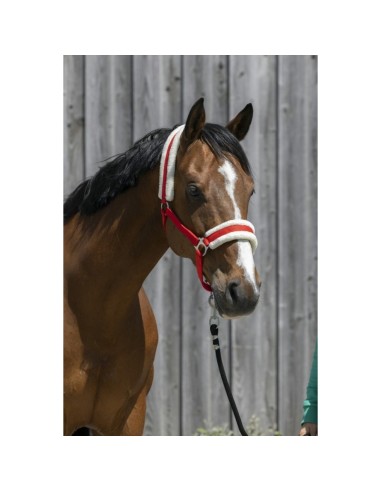 Riding World - Licol mouton synthétique