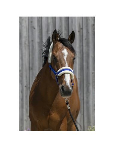 Riding World - Licol mouton synthétique
