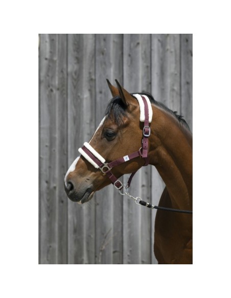 Riding World - Licol mouton synthétique