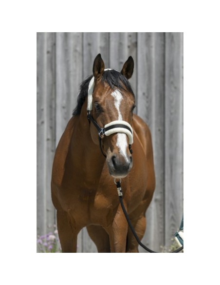 Riding World - Licol mouton synthétique
