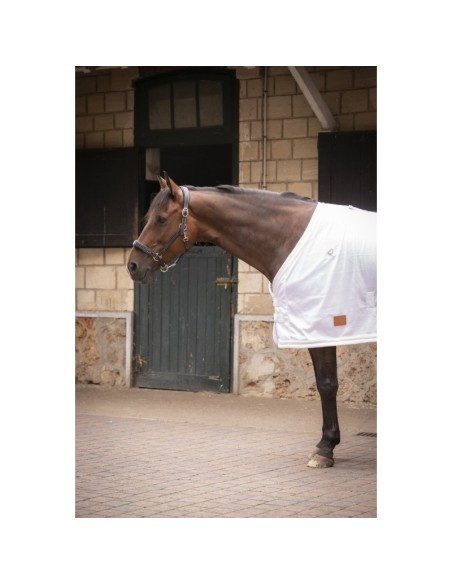 Chemise UV Mesh combo Paddock