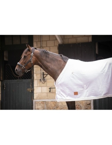 Chemise UV Mesh combo Paddock