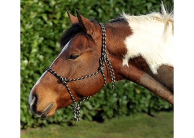 Licol nodal cheval
