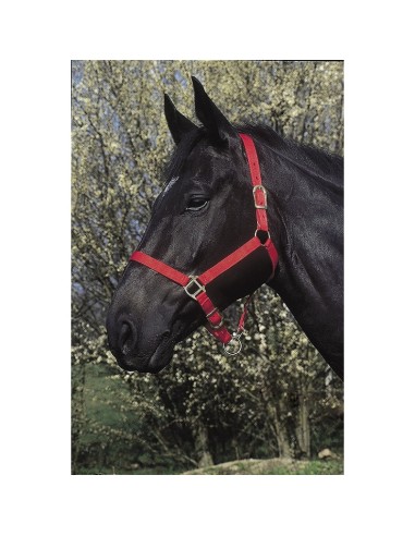 Riding World Licol Nylon