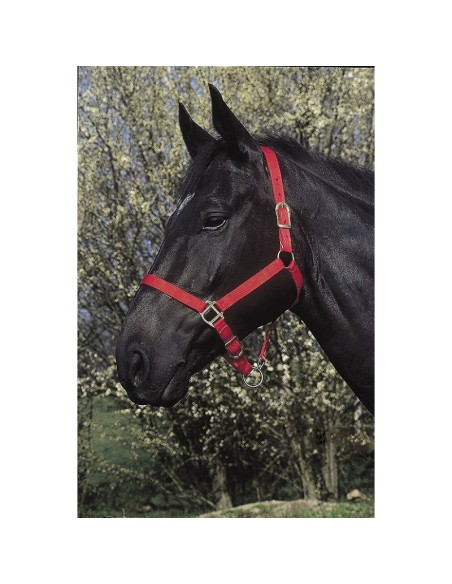 Riding World Licol Nylon