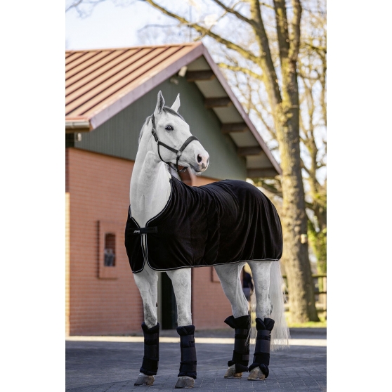 Duppigheim. Le spectacle du Fer à cheval attire 250 visiteurs