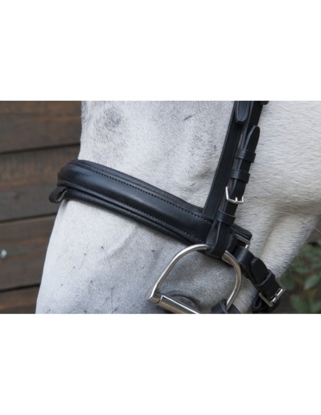 BRIDON MUSEROLLE PULL BACK TDET