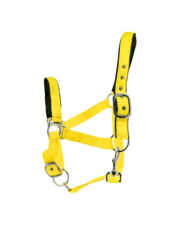 Licol nylon doublé suédine