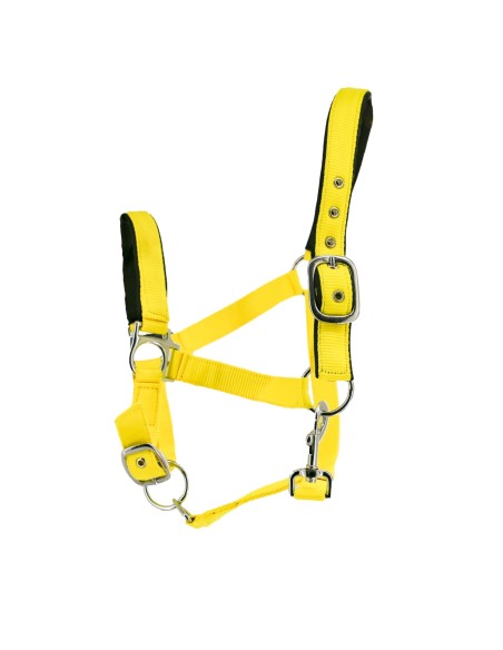 Licol nylon doublé suédine