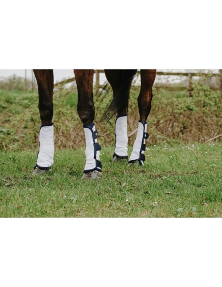 Guêtres anti-mouches Riding World x4