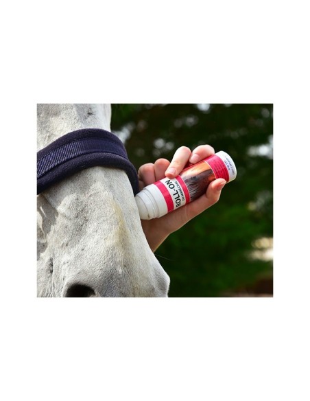 Anti-mouches Roll On du Maréchal