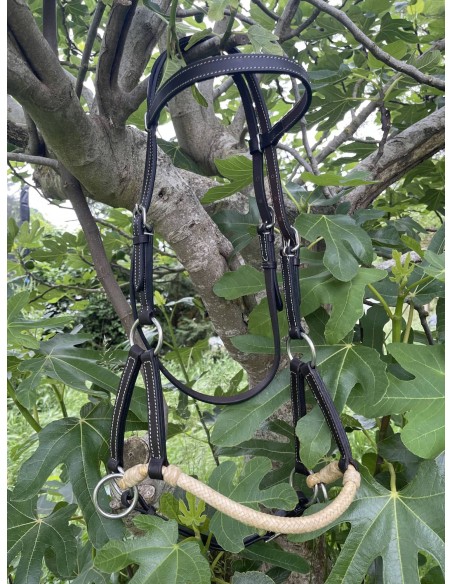 Deluxe Latigo Leather Side Pull Valley Miles