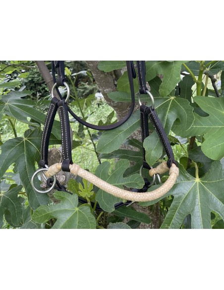 Deluxe Latigo Leather Side Pull Valley Miles