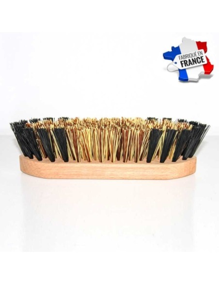 Brosse dure THQ GM Made in France