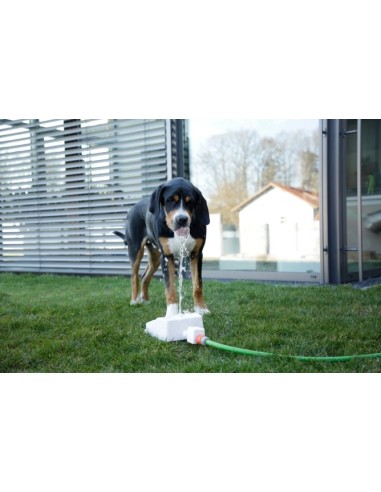 Fontaine rafraichissante pour chien Bubble