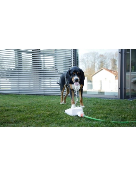 Fontaine rafraichissante pour chien Bubble