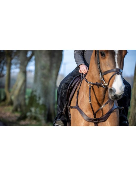 Chaps imperméables Stormwear Drytex LeMieux