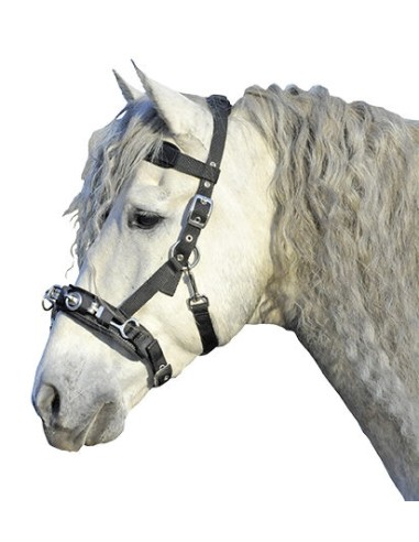 Caveçon en nylon poney HKM