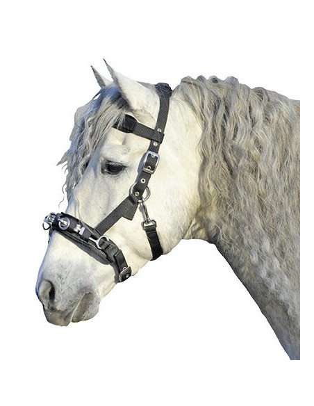 Caveçon en nylon poney HKM