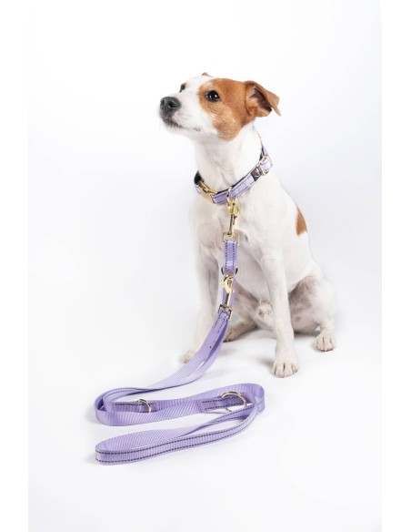 Laisse de dressage pour chiens Qooper en nylon
