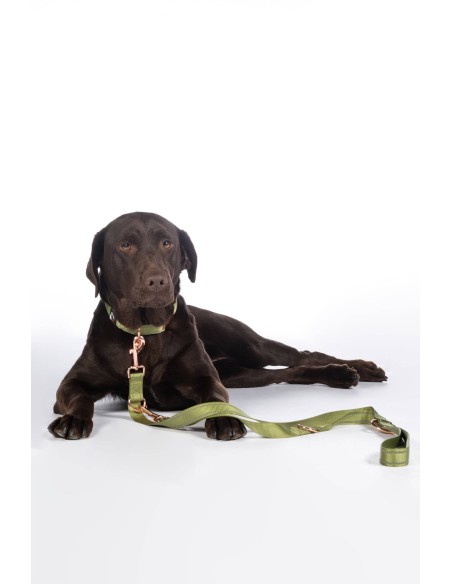 Laisse de dressage pour chiens Qooper en nylon