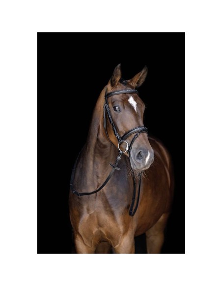 Bridon + collier de chasse surpiqué Dhm-Equitation marron