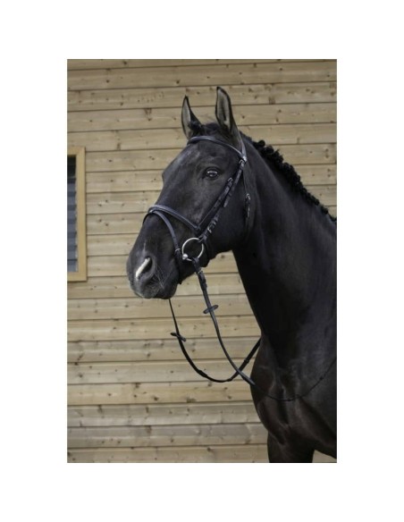 Bridon Riding World muserolle combinée