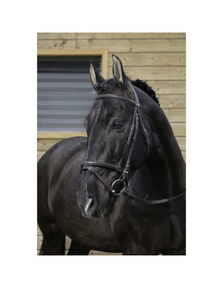 Bridon Riding World muserolle combinée